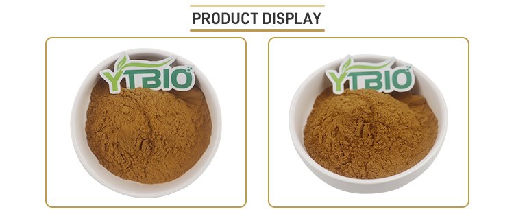 Olive extract Powder.jpg